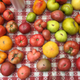 Image for article titled iPhone 6s Camera Review: Apple Is No Longer the King of Mobile Photos